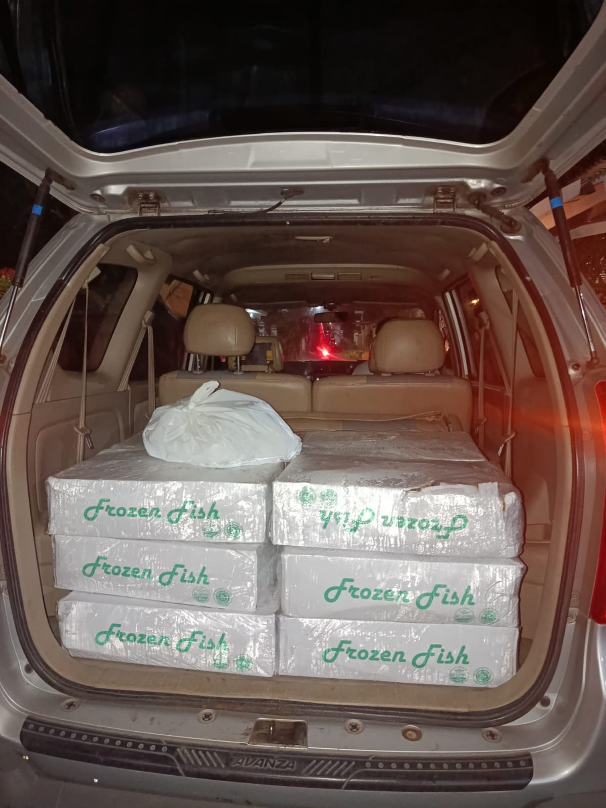 distributor ikan salem frozen jakarta - dokumentasi pengiriman Sahabat Seafood