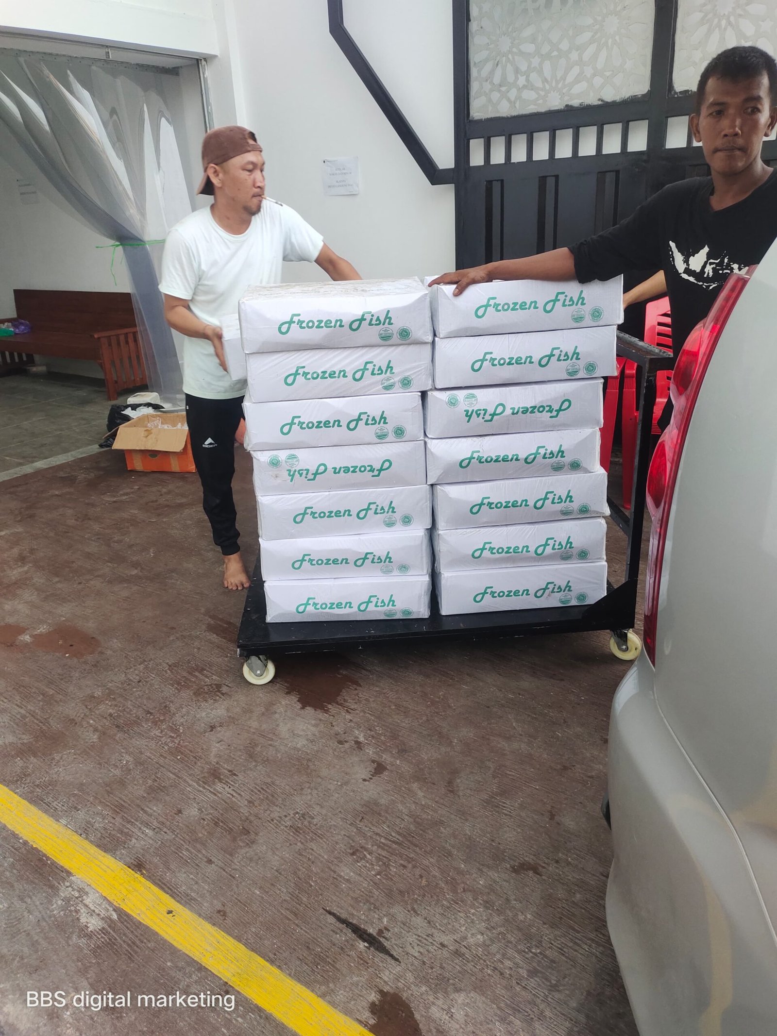 sahabat seafood distributor ikan salem - dokumentasi pengiriman Sahabat Seafood