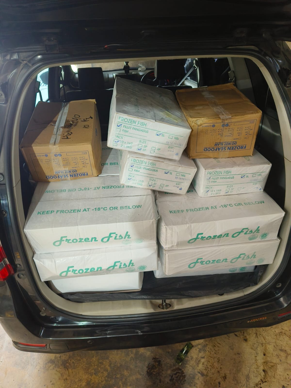 jenis ikan salem indonesia - dokumentasi pengiriman Sahabat Seafood