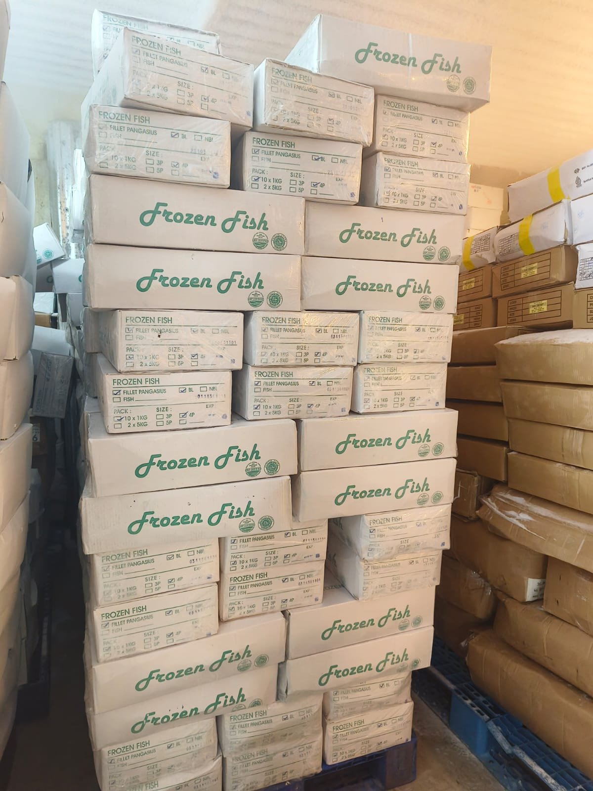 supplier ikan salem jakarta pusat - dokumentasi pengiriman Sahabat Seafood