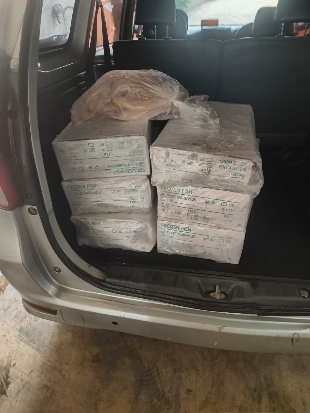 ikan salem frozen untuk katering - dokumentasi pengiriman Sahabat Seafood