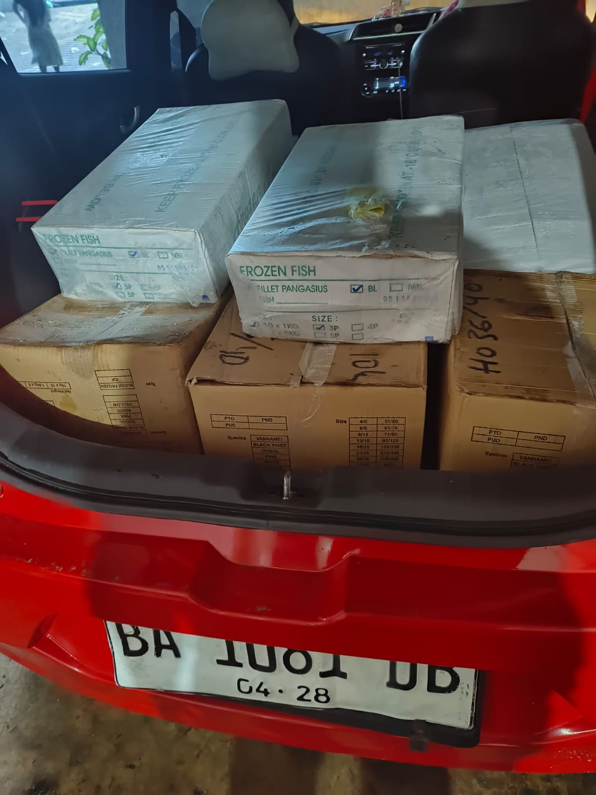 ikan salem fresh vs frozen - dokumentasi pengiriman Sahabat Seafood