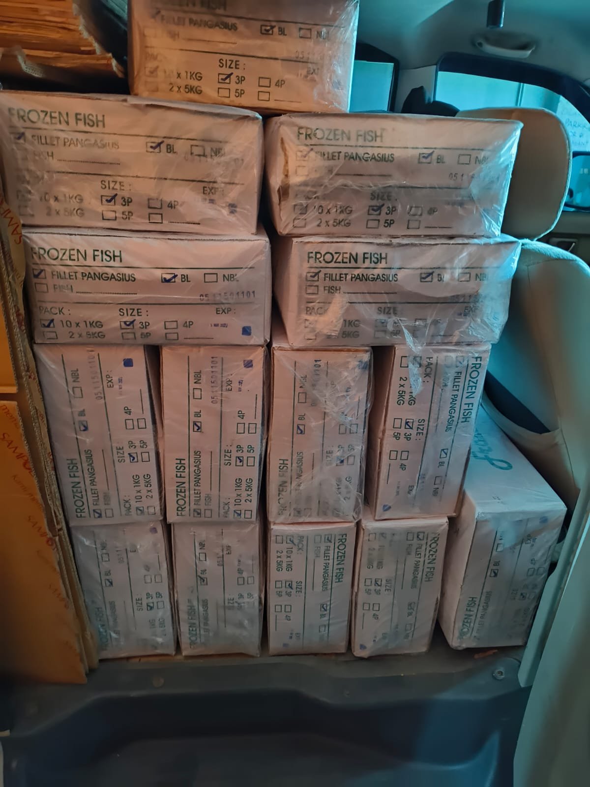 cara pesan ikan salem frozen grosir - dokumentasi pengiriman Sahabat Seafood