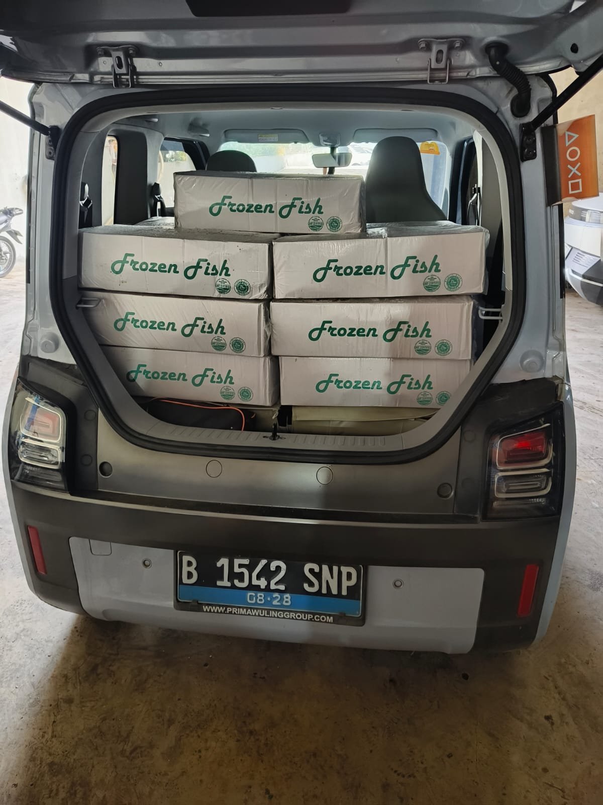 distributor ikan salem frozen bogor - dokumentasi pengiriman Sahabat Seafood