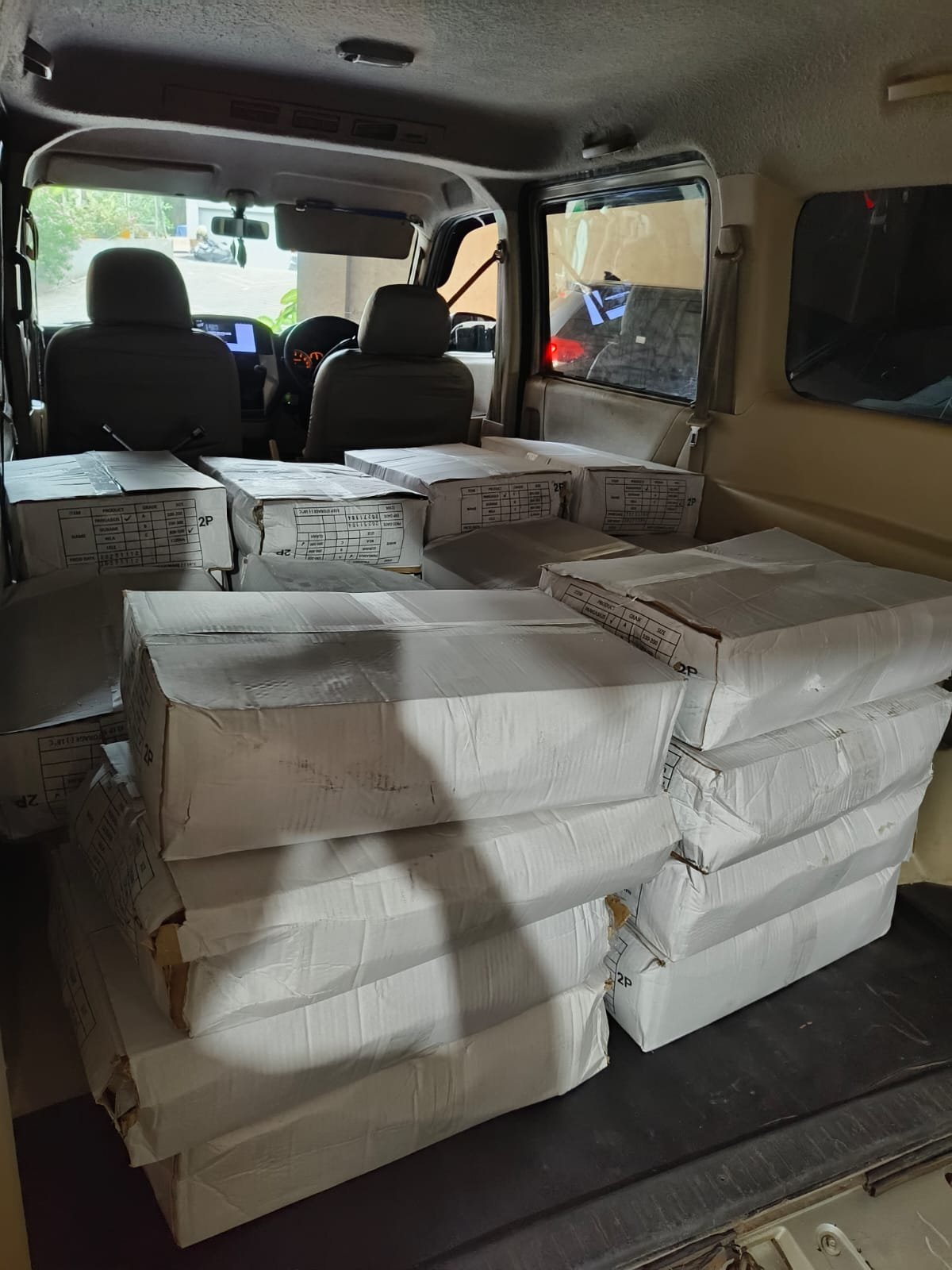 distributor ikan salem frozen depok - dokumentasi pengiriman Sahabat Seafood